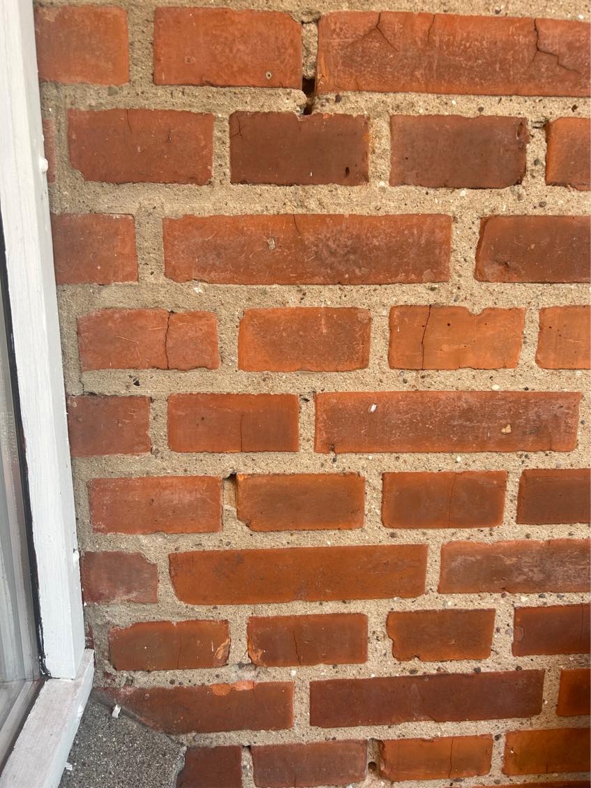 Vi har muligvis murbier i vores husfacede.