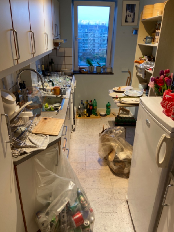 Opvask, gøre køkkenet rent