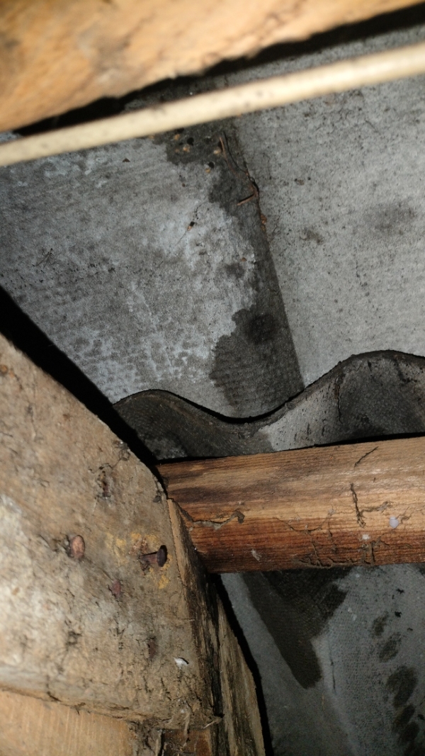 Tætning eller udskiftning af tagskruer på eternittag