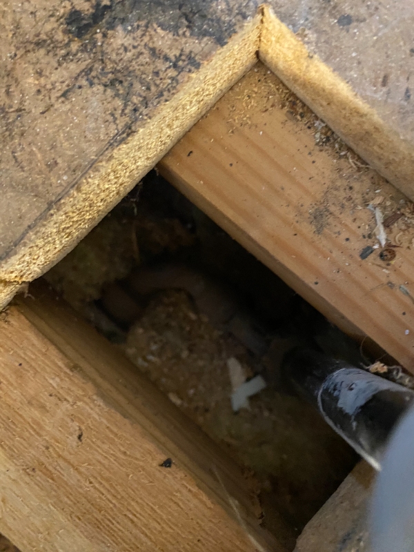 Opsætning af radiatorer