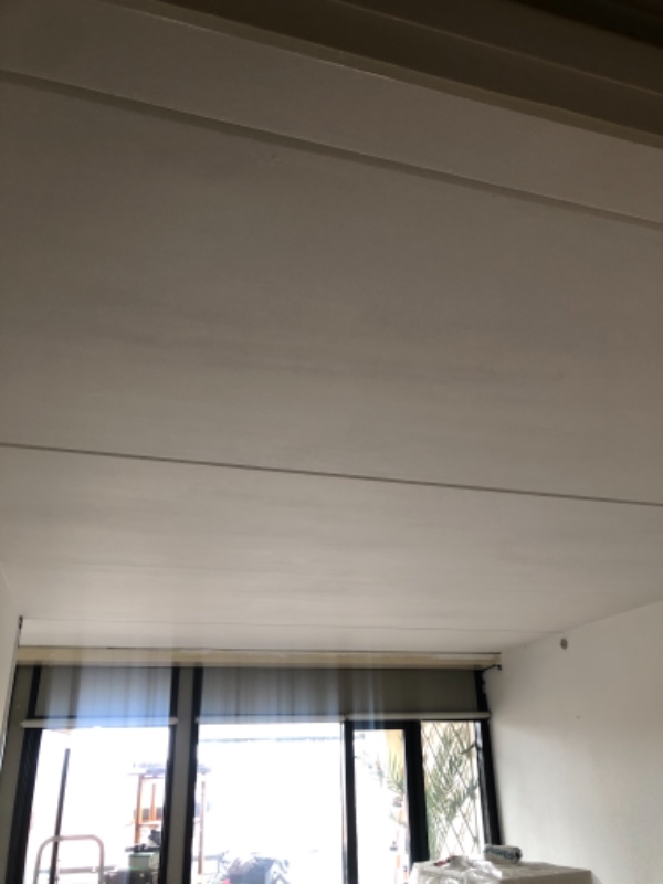 Haster:(gen)Maling af loft