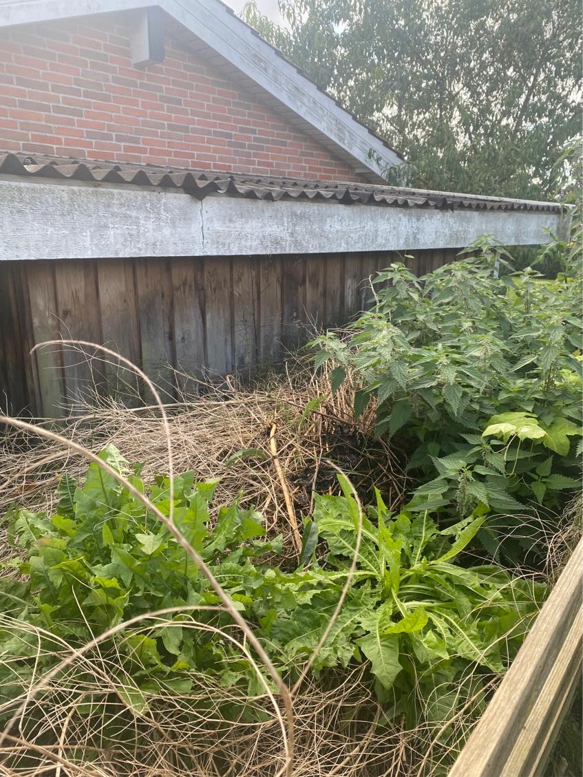 Bortskaffelse af kompost/jordbunke på ca. 10m3 bag skur. Let tilgængelig adgang med maskiner. Maskiner skal selv medbringes.