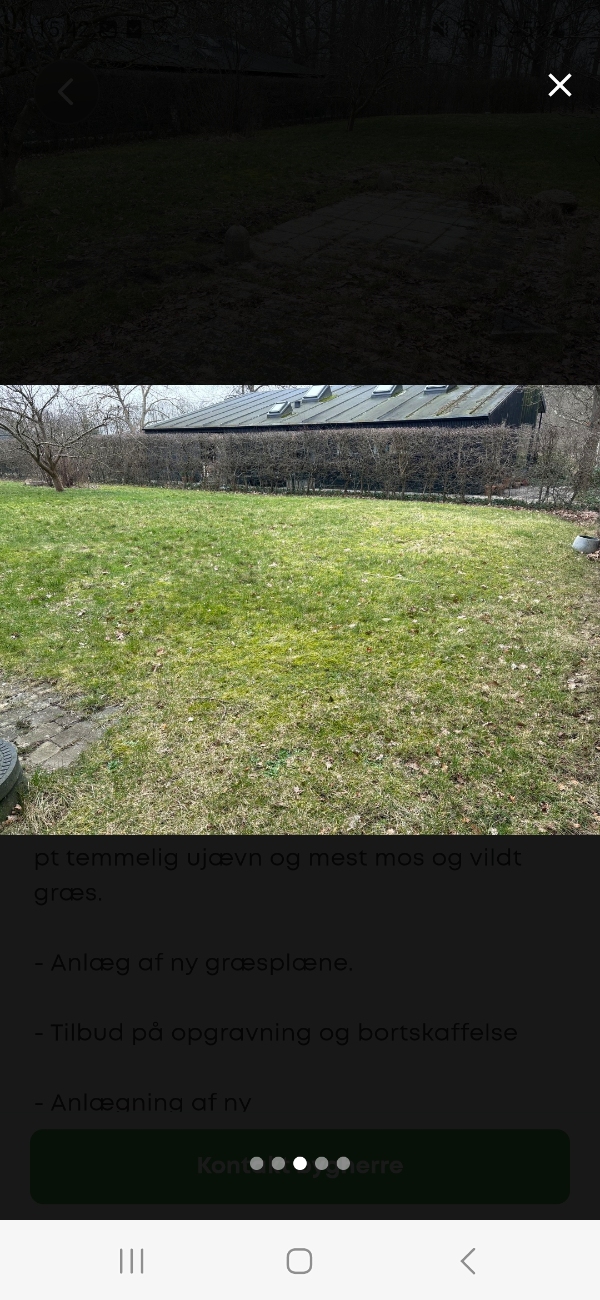 Genetablering af græsplæne