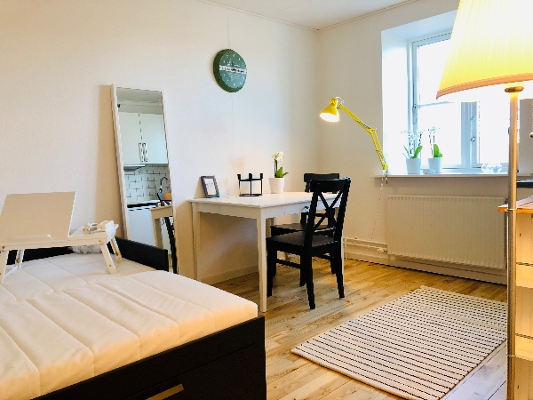 Flytte seng samt mindre småting + kørsel til lossepladsen