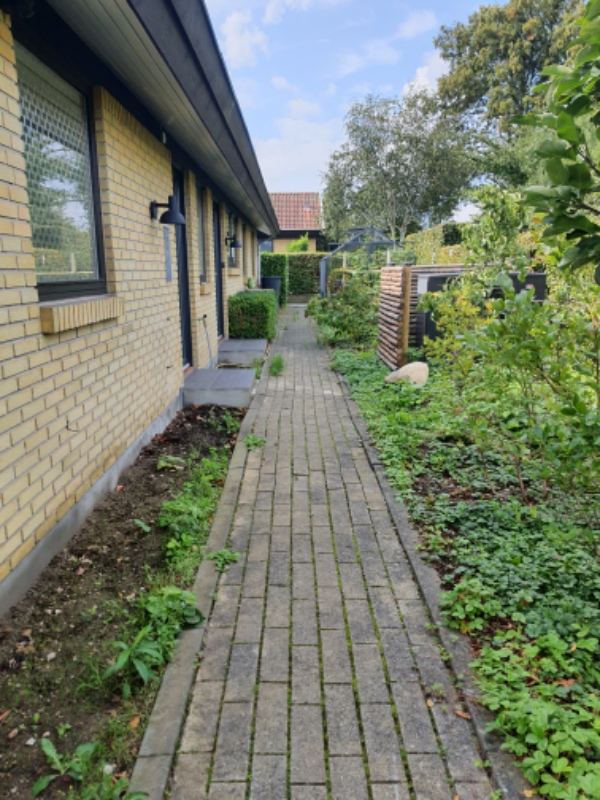 Optagning og bortkørsel af kantsten