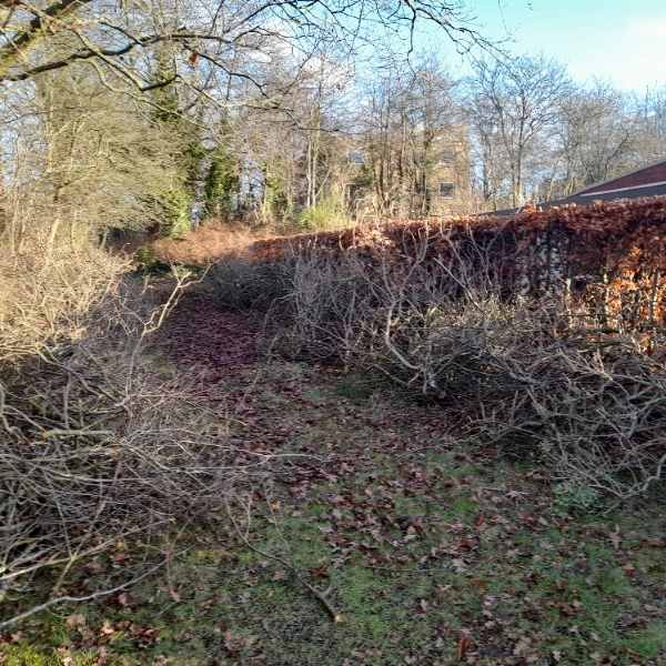 Bortkørsel af afskårne græne