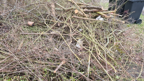 Vi skal have fjernet haveaffald