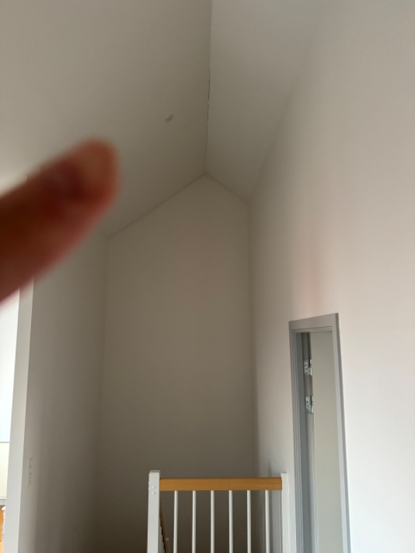Ophængning af lampe