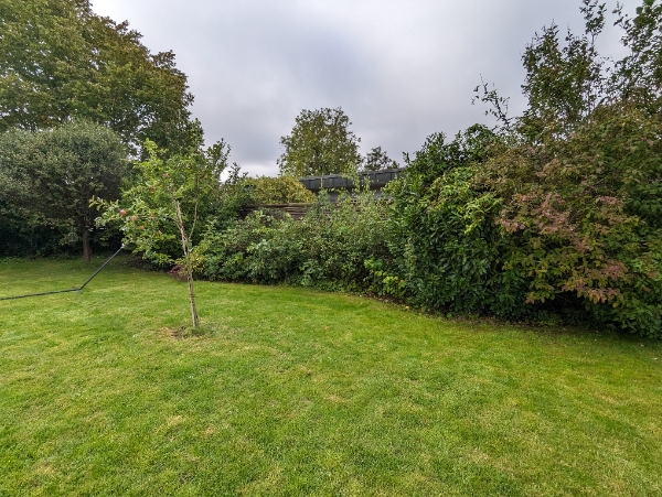Udlugning og pleje af 20 m lauerbærhæk, evt planting af 4-5 nye hækplanter. Grovlugning af bede.