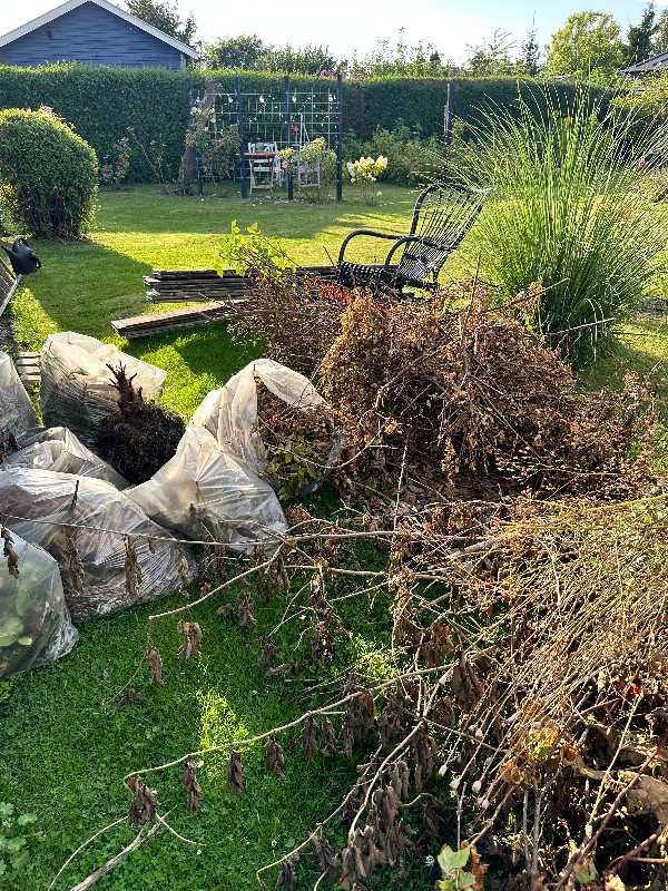 Haveaffald og storskrald