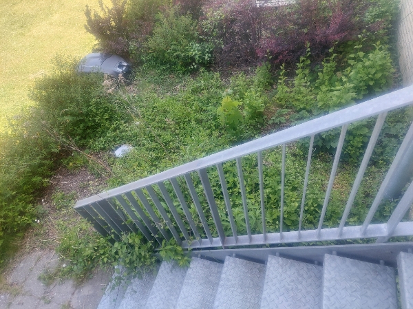 Ordne baghave med klipning, fjerne ukrudt, sætte hegn op og sætte beton på have.