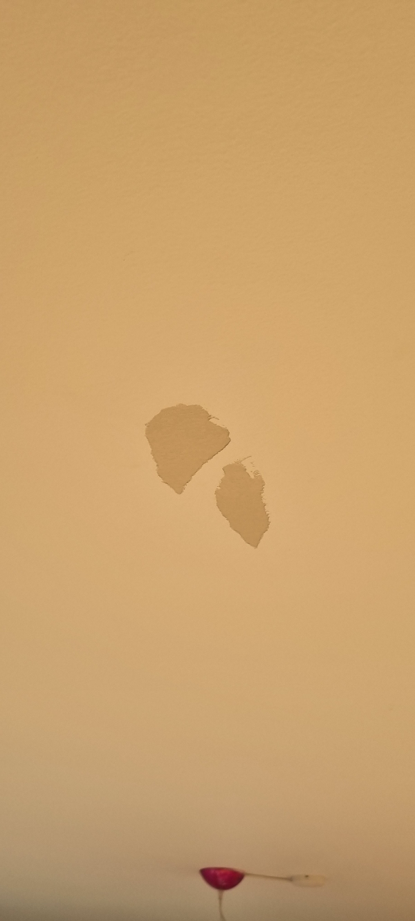 Loft i stue. Spartel og maling af beskadiget områder.