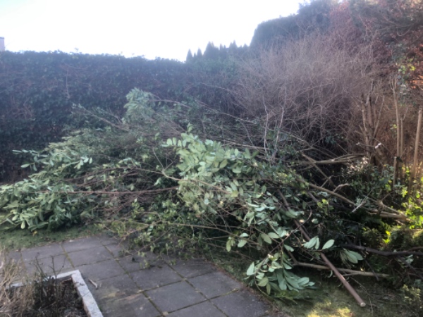 Bortkørsel af haveaffald