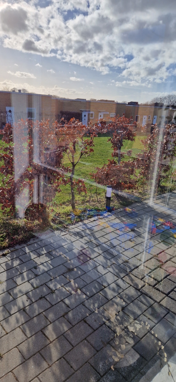 Opgravning af hækkeplanter