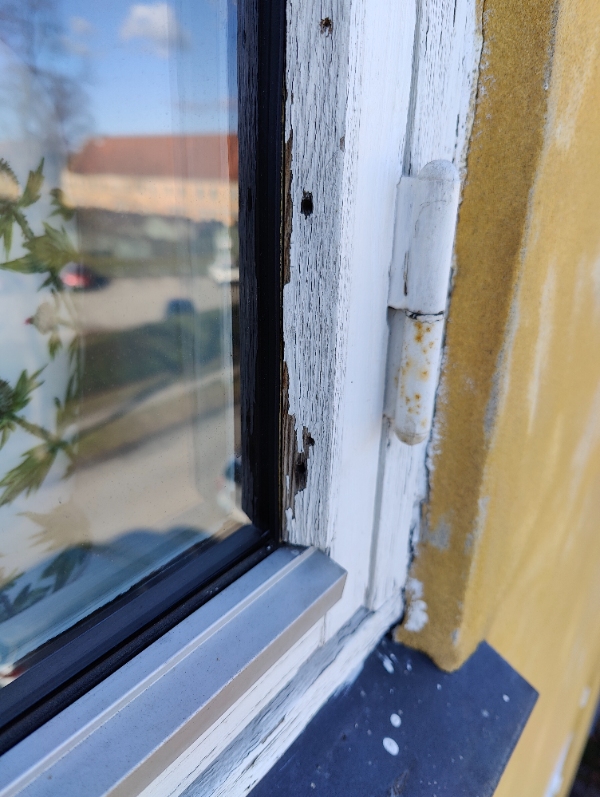 Vindue restoration og maling 8 stk (16)