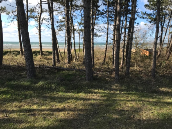 Opsætning af lamelstakit 180•180  gange 50 m