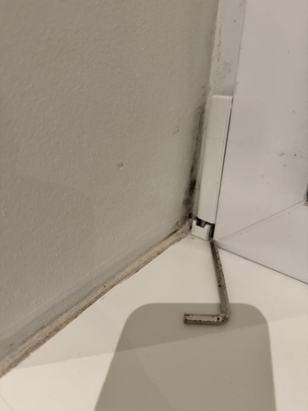 Fjernelse af skimmelsvamp akut