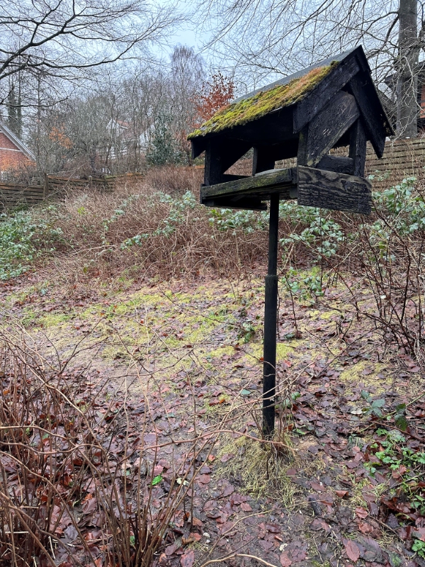 Rydde have for brombærkrat