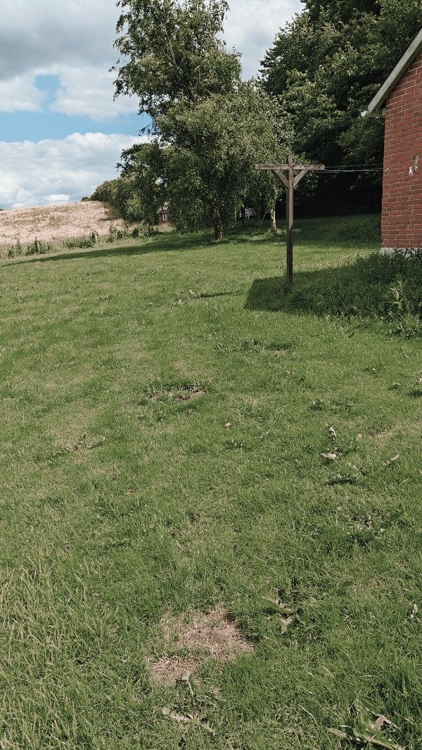 Græsslåning og hækklipning