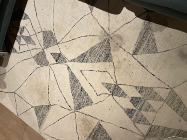 Rens af løst tæppe 170x235 cm