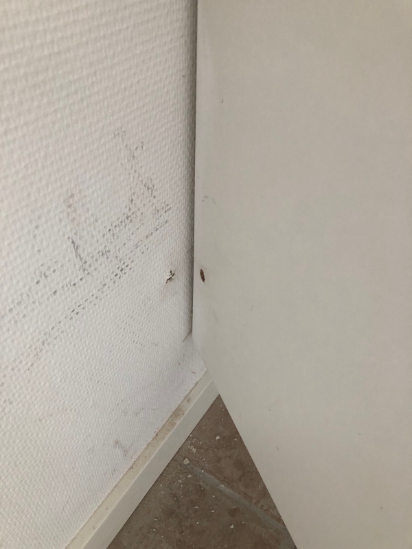 Indkøb og installation af skabslåge samt reperation af hul i væg