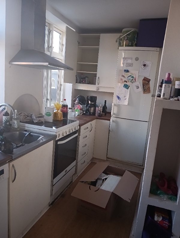 Flytte rengøring, a. 99m2 hus, og lidt have.