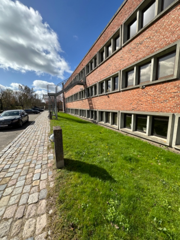 Græsslåning og hækklipning