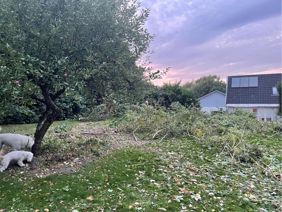 Kørt på genbrug med have affald