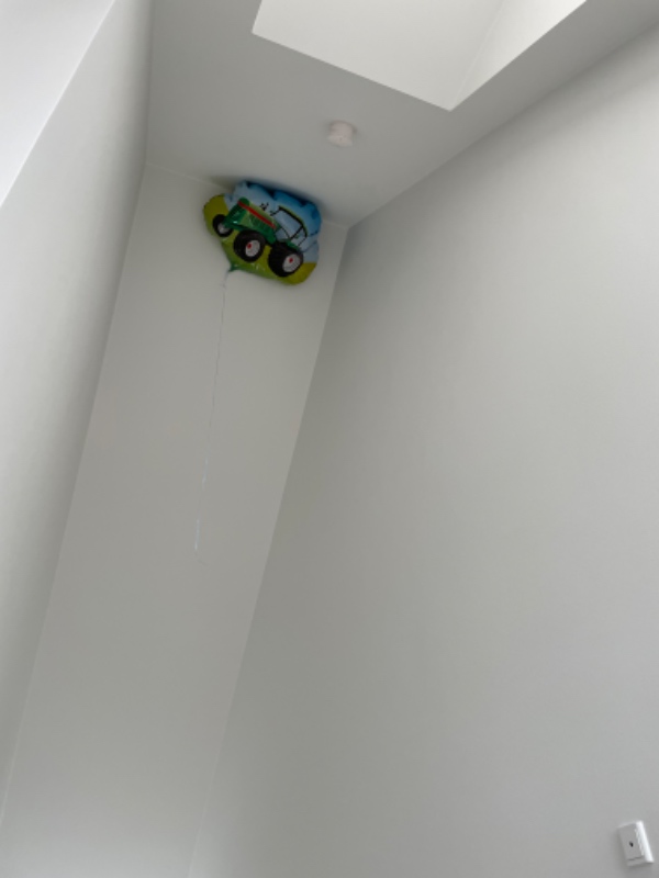 Skal have hængt en lampe på 20kg op i 5.4 meters højde
