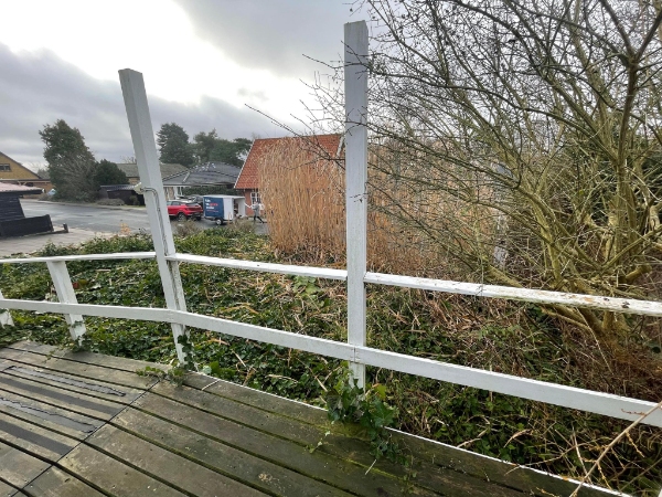 Rydning af forhave (primært efue)