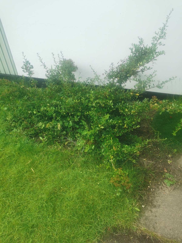 Meget havearbejde med forskellige opgaver