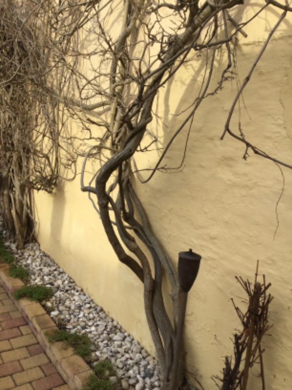 Pudsning af væg i gårdhave..