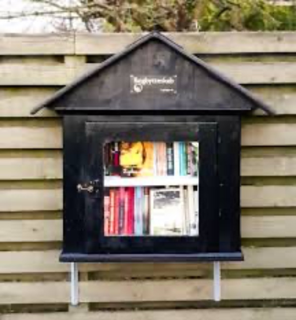 Kan du bygge et bogbytteskab? 