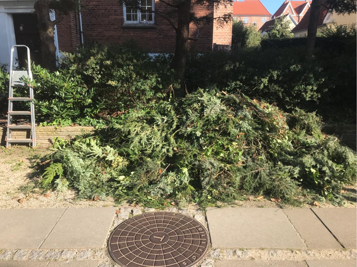 Kørsel af grenaffald.