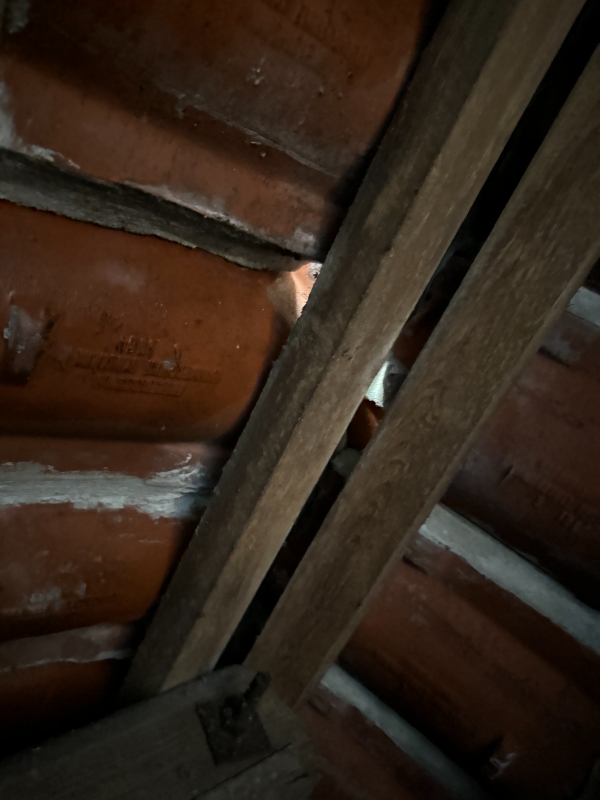 Tagreparation og taghætteudskiftning