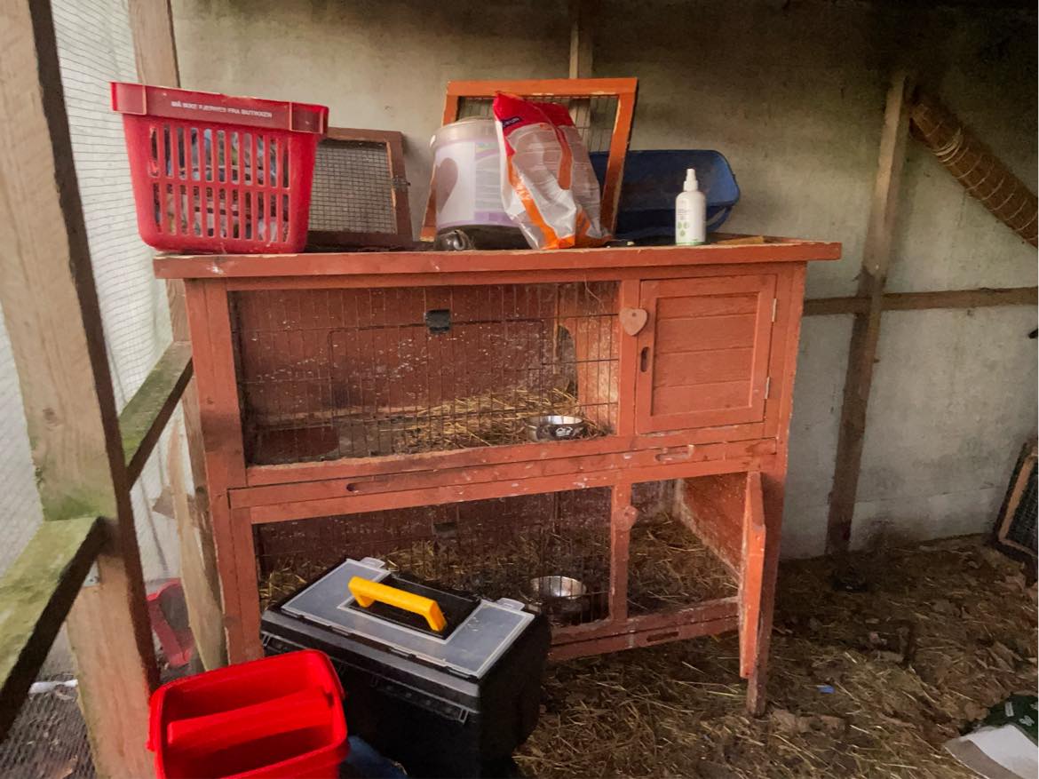 Hjælp til at flytte pallemøbler, 2 frysere, 1 lille shelter, nogle mindre og et stort kaninbur + diverse