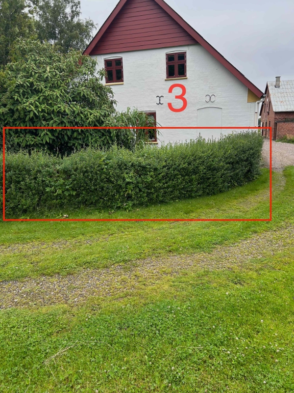 Hæk- og buskklipning samt trætopkapning