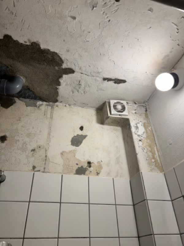 Spartling og tapetsering af badeværelse