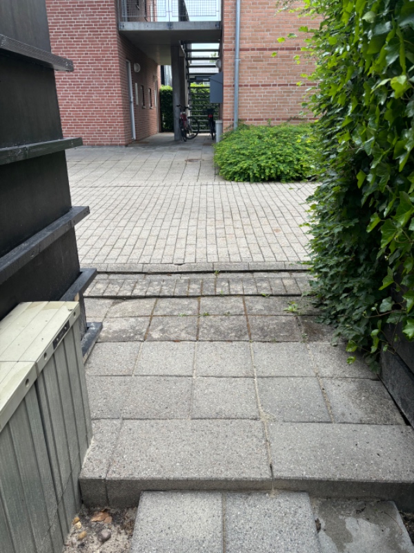 Havelåge og stakit opsætning