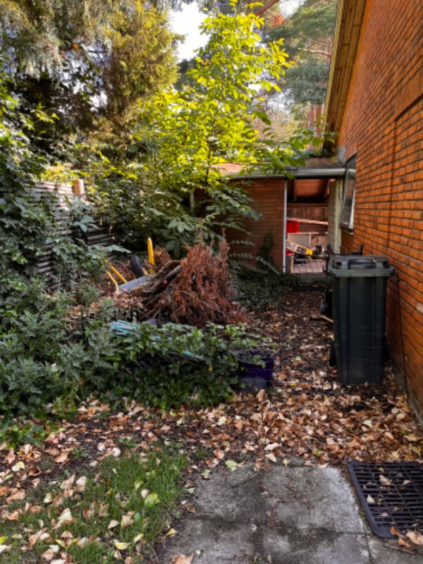 Have ordnes og storskrald fjernes