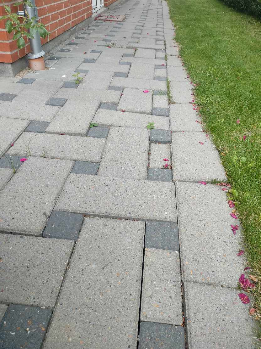 Genlægning af fliserne i baghaven