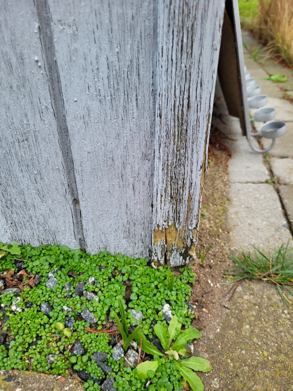 Træbeklædning på kolonihavehus