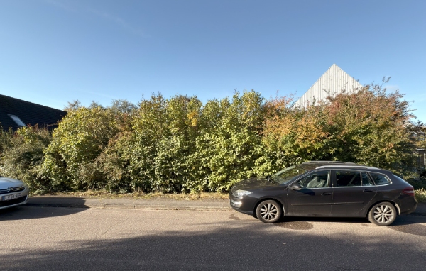 Rydning af bed for planter/buske