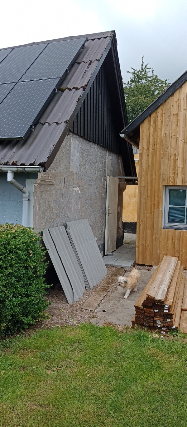 Nedtagning af cementpuds og pudsning med kalkmørtel