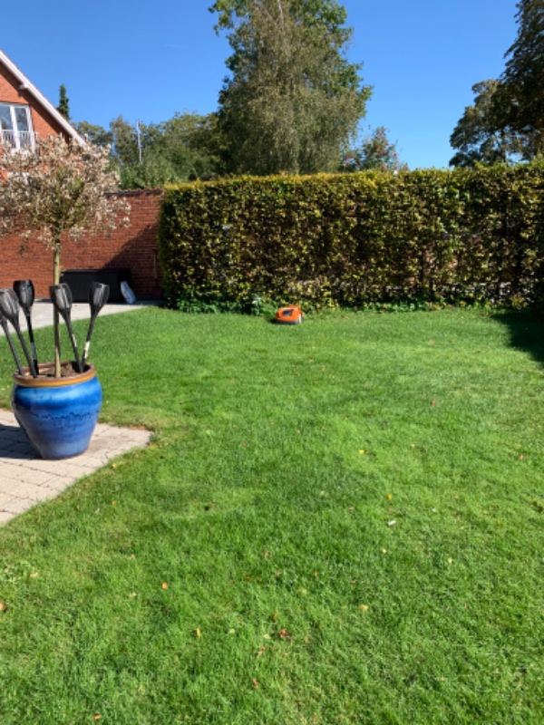 Luge ukrudt og vedligeholde