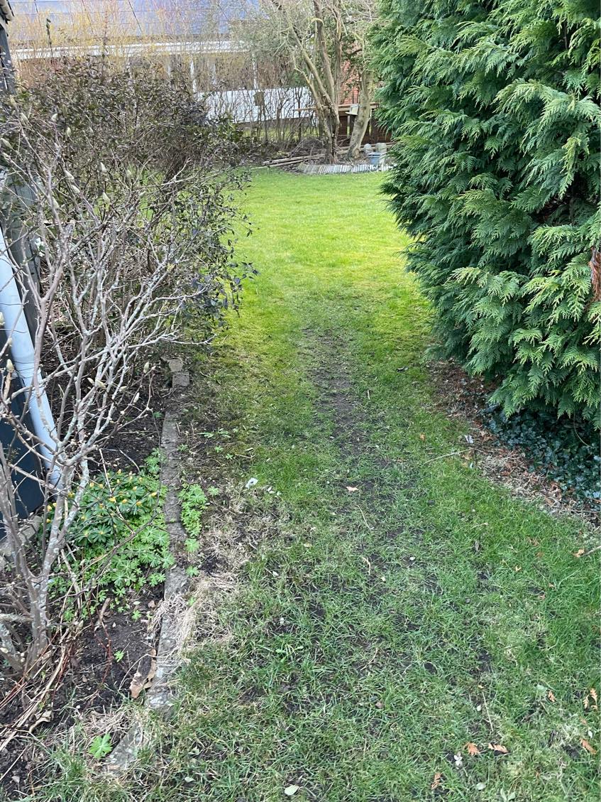 Udjævning af græsplæne