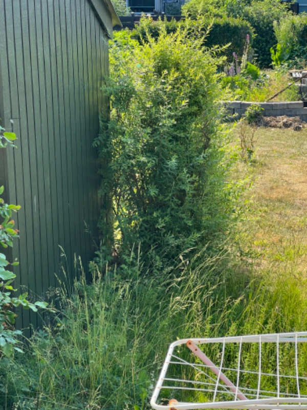 Have og ukrudt arbejde