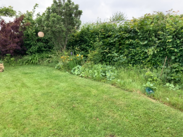 Ukrudtsfjerning og affaldshåndtering