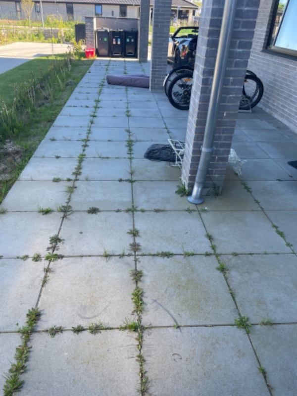 Fjernelse af ukrudt 500m2