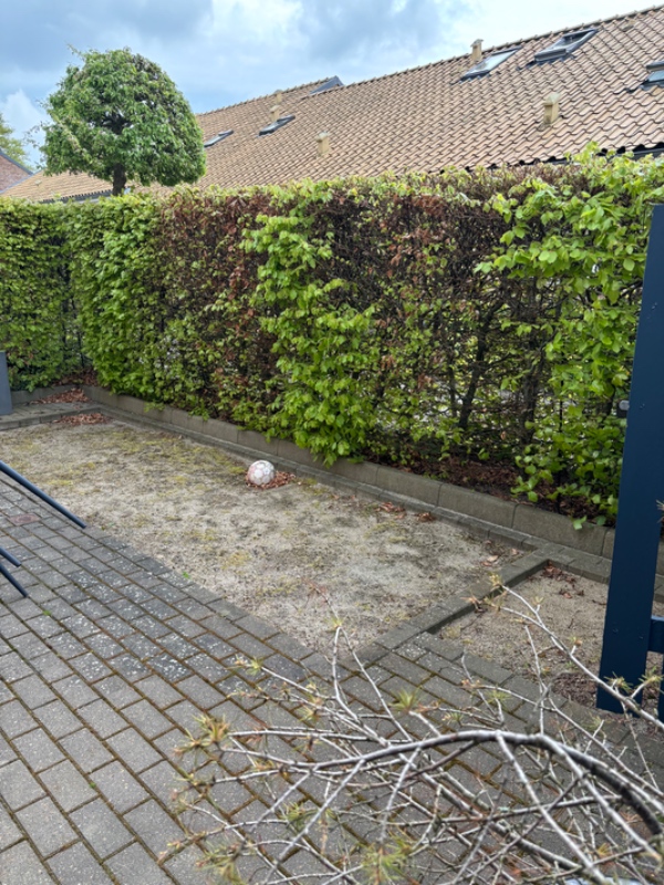 Udlægning af hollændersten